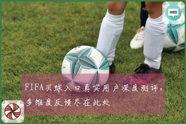 FIFA买球入口真实用户深度测评，多维度反馈尽在此处