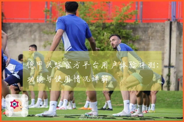德甲买球官方平台用户体验评测：功能与使用情况详解