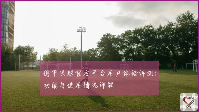 德甲买球官方平台用户体验评测：功能与使用情况详解