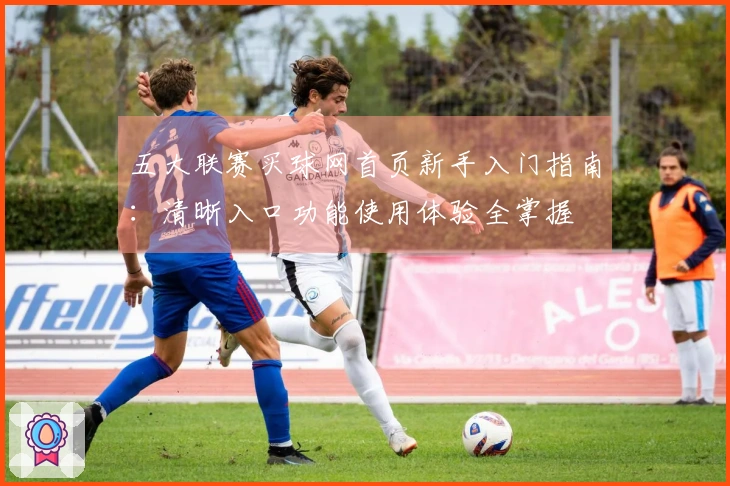 五大联赛买球网首页新手入门指南：清晰入口功能使用体验全掌握