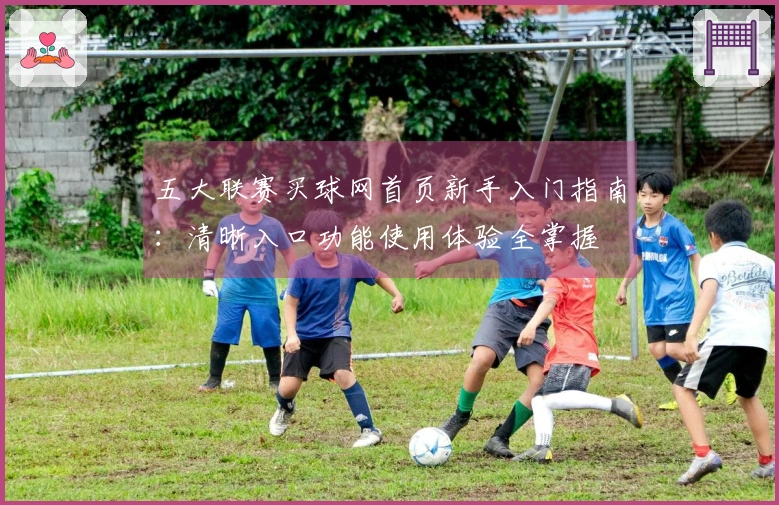 五大联赛买球网首页新手入门指南：清晰入口功能使用体验全掌握