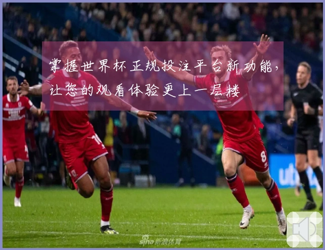 掌握世界杯正规投注平台新功能，让您的观看体验更上一层楼