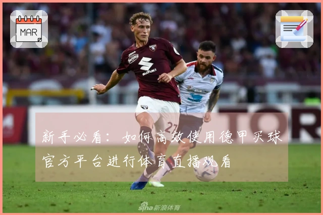 新手必看：如何高效使用德甲买球官方平台进行体育直播观看