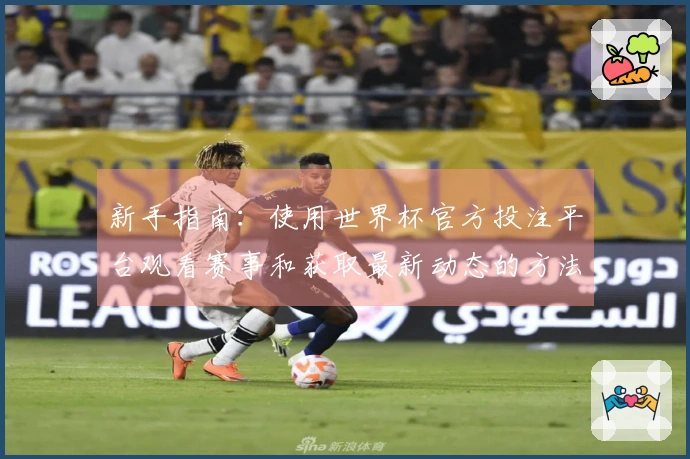 新手指南：使用世界杯官方投注平台观看赛事和获取最新动态的方法